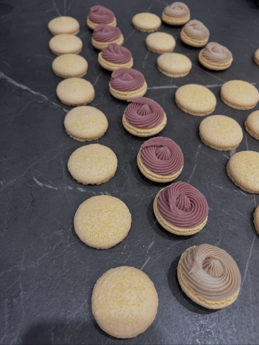 JKNZ Macaron